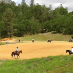 Photo 25 for Highland Springs Equestrian Center