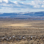 Photo 11 for Ruby Mountain Ranch