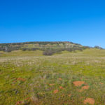 Photo 8 for Table Mountain View Acreage