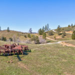 Photo 22 for Tailem Bend Vineyard