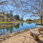 Photo 34 for Tailem Bend Vineyard