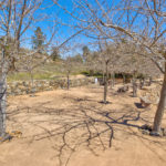 Photo 42 for Tailem Bend Vineyard