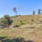 Photo 47 for Tailem Bend Vineyard