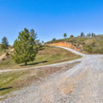 Photo 48 for Tailem Bend Vineyard