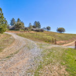 Photo 49 for Tailem Bend Vineyard