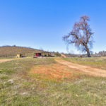 Photo 51 for Tailem Bend Vineyard