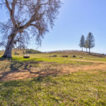 Photo 52 for Tailem Bend Vineyard