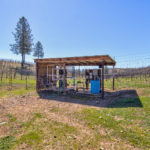 Photo 54 for Tailem Bend Vineyard
