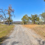 Photo 56 for Tailem Bend Vineyard