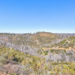 Photo 74 for Tailem Bend Vineyard
