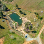 Photo 93 for Tailem Bend Vineyard