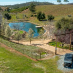 Photo 94 for Tailem Bend Vineyard