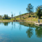 Photo 97 for Tailem Bend Vineyard