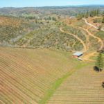 Photo 106 for Tailem Bend Vineyard