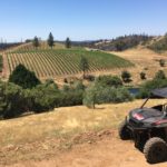 Photo 13 for Tailem Bend Vineyard