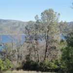 Photo 2 for Berryessa Pines Lake View Home