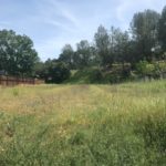 Photo 5 for Lot #129 at Lake Berryessa