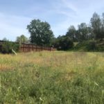 Photo 4 for Lot #129 at Lake Berryessa