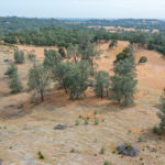 Photo 9 for Morgan Ranch