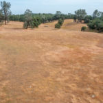 Photo 4 for Morgan Ranch