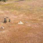 Photo 5 for Morgan Ranch