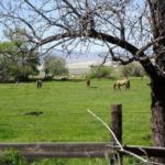 Photo 5 for Humphrey Ranch