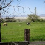 Photo 7 for Humphrey Ranch