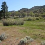 Photo 8 for Humphrey Ranch