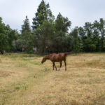 Photo 3 for Malaney Ranchette