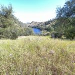 Photo 16 for Lake Tulloch Estate