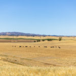 Photo 20 for Hermley Ranch