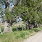 Photo 10 for Humphrey Ranch