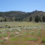 Photo 4 for Humphrey Ranch
