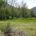 Photo 15 for Humphrey Ranch