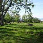 Photo 18 for Humphrey Ranch