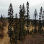 Photo 7 for Duffey Dome