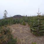 Photo 9 for Duffey Dome