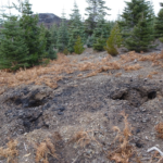 Photo 5 for Duffey Dome