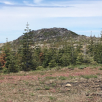 Photo 14 for Duffey Dome