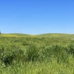 Photo 9 for Hermley Ranch