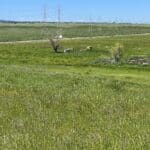 Photo 13 for Hermley Ranch