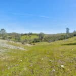 Photo 12 for Sutter Springs Ranch