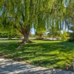 Photo 50 for Sutter Vineyard