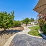 Photo 80 for Sutter Vineyard