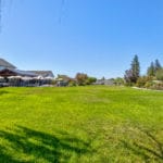 Photo 88 for Sutter Vineyard