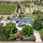 Photo 94 for Sutter Vineyard
