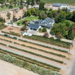 Photo 100 for Sutter Vineyard