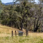 Photo 20 for Personeni Ranch