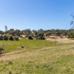 Photo 18 for Personeni Ranch