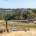 Photo 5 for Personeni Ranch